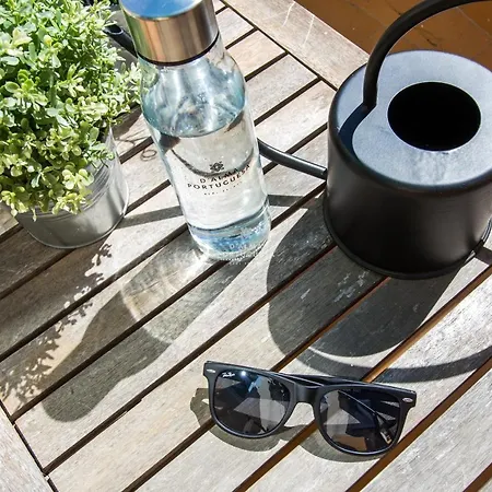 Jacaranda - By Dalma Portuguesa * 维拉摩拉