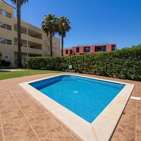 Jacaranda - By Dalma Portuguesa 维拉摩拉