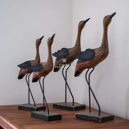 Jacaranda - By Dalma Portuguesa *